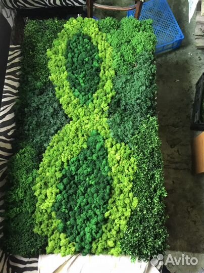 Панели из стабилизированного мха по вашим размерам