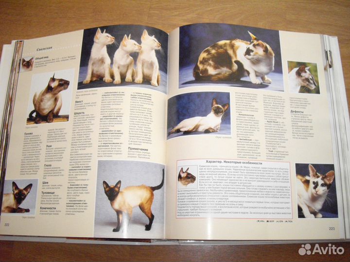 Энциклопедия 