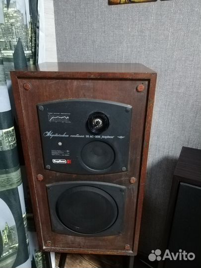 Колонки Корвет 35ас 208
