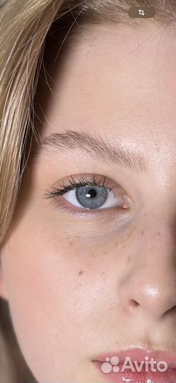 Мастер бровист