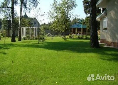 Газон рулонный