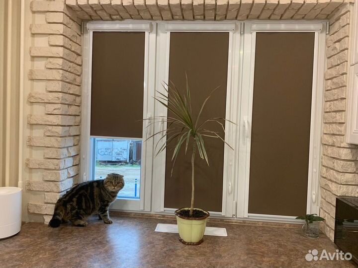 Рулонные шторы