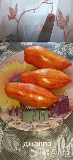 Семена сортовых коллекционных томатов