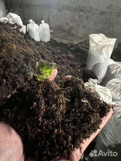 Навоз и перегной в мешках и навалом