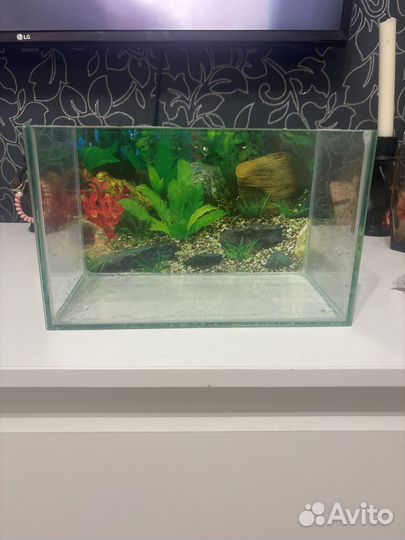 Аквариум 5литров