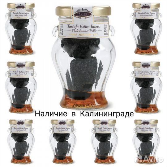 Трюфель гриб летний