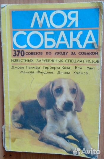 На кого моя собака. На кого моя собака. На кого моя собака. На кого моя собака. На кого моя собака.