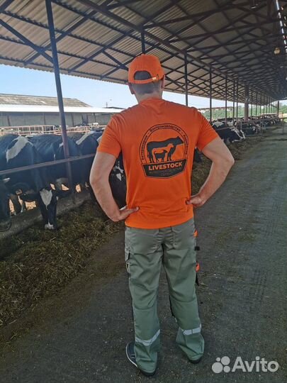 Осеменение, узи диагностика в лпх, кфх