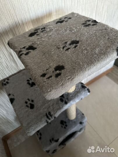 Когтеточка