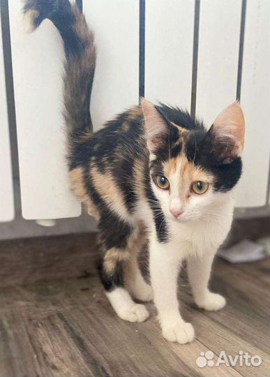 Малышка Нюша ищет любящую семью