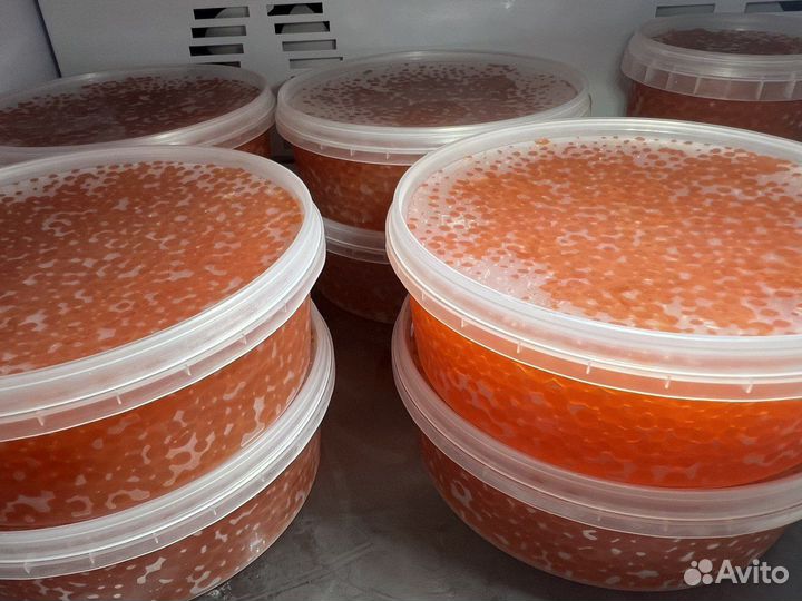 Икра красная с заводов Камчатки опт доставка