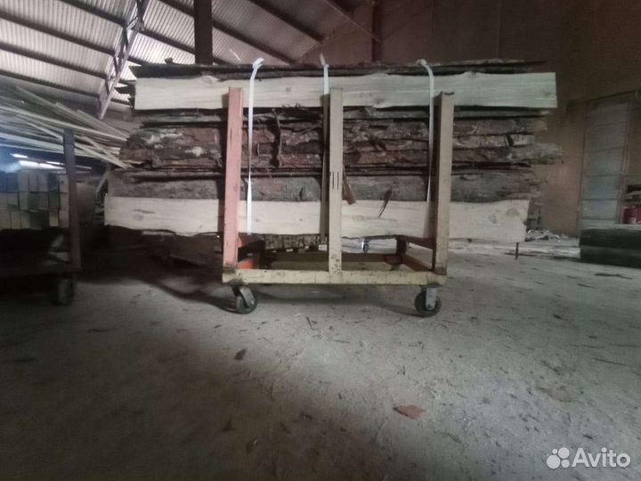 Кора сосновая и опилки