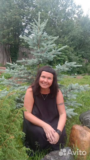 Высшая математика