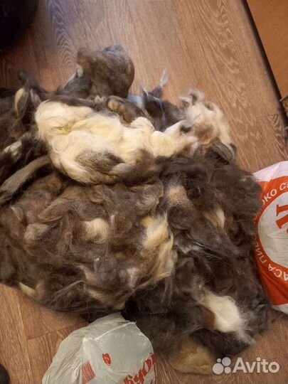 Собачья шерсть пух