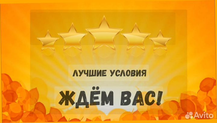 Грузчики Выплаты еженедельно /Хорошие условия