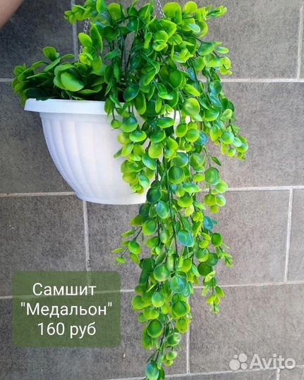 Растения искусственные