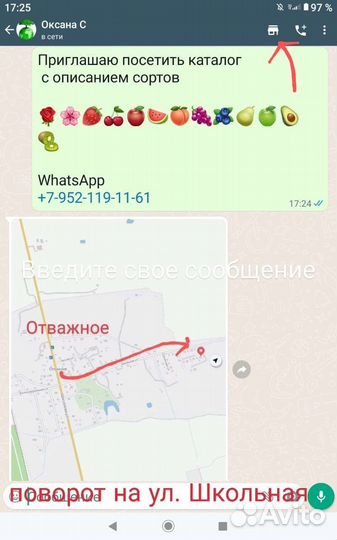 Роза Chandos Beauty Чандос Бьюти