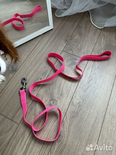 Поводок для собак