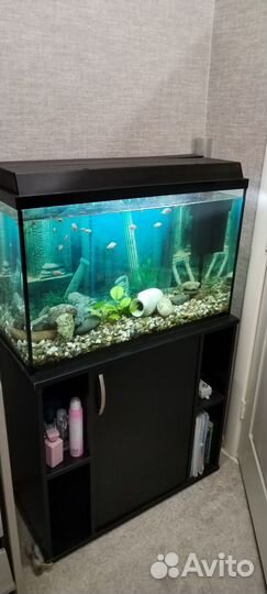 Аквариум с тумбой