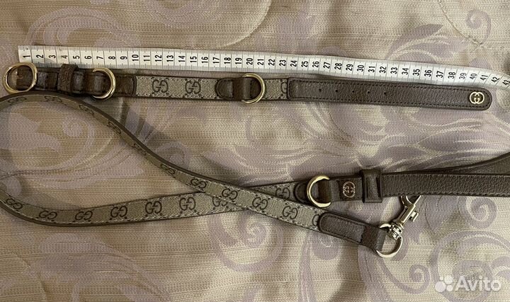 Ошейник для собак поводок gucci