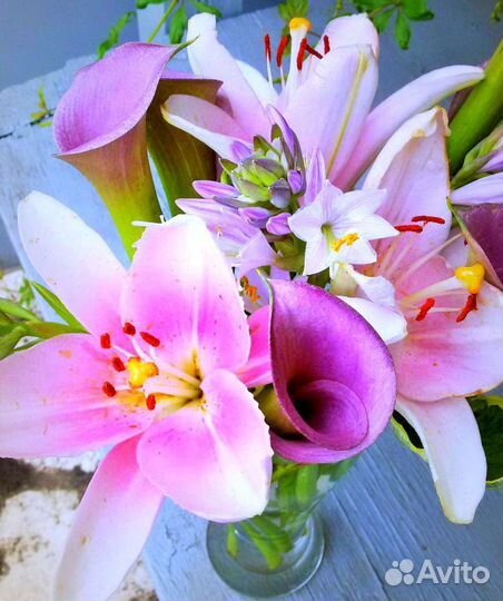 Цветы и растения: лилии, подснежники