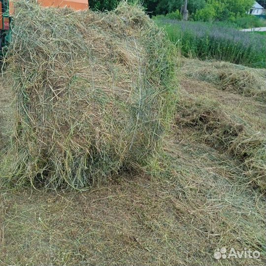 Сено в рулонах