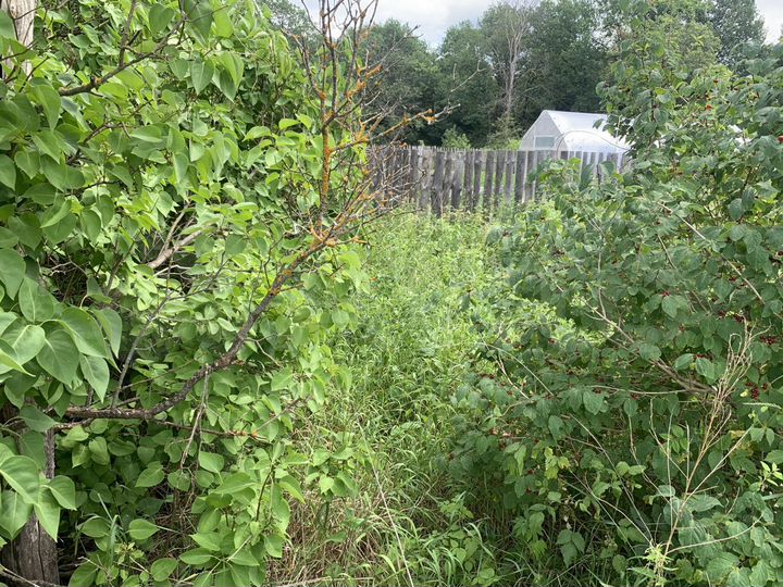 Участок 10 сот. (СНТ, ДНП)