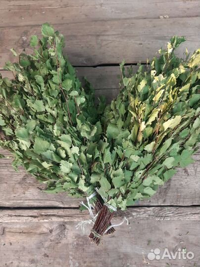 Свежие березовые веники для бани