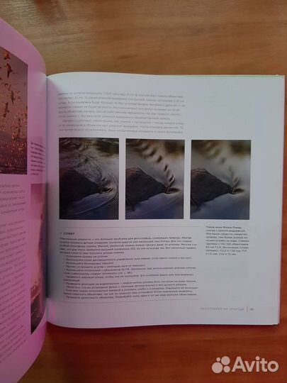 Ваш гид по фотосъёмке природы