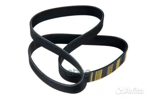 Ремень поликлиновой 9PK1358 DAF XF105 06 z23005