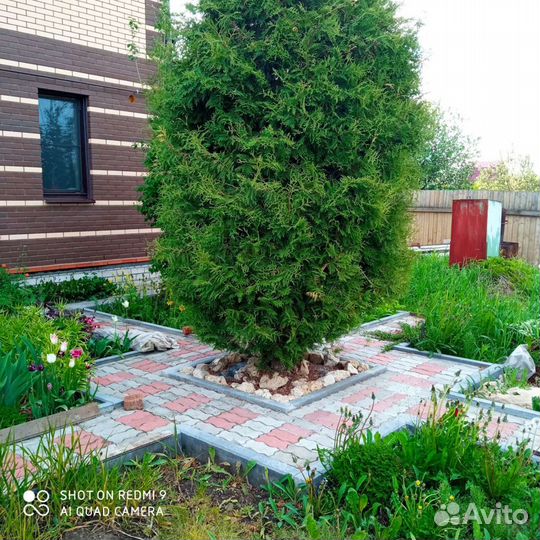 Передержка для собак