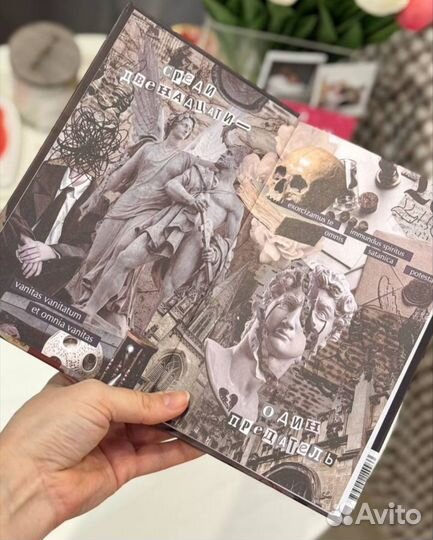 Общество мертвых и исключительных, Анви Рид