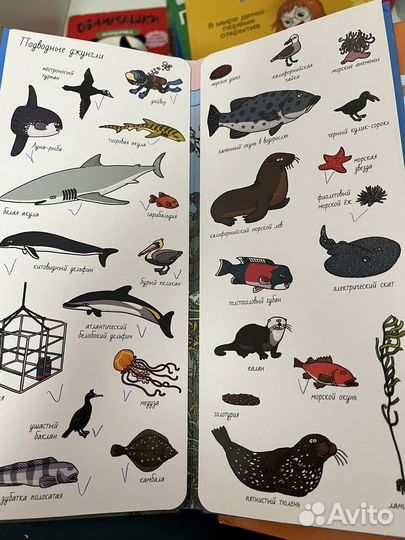 Найди и покажи clever