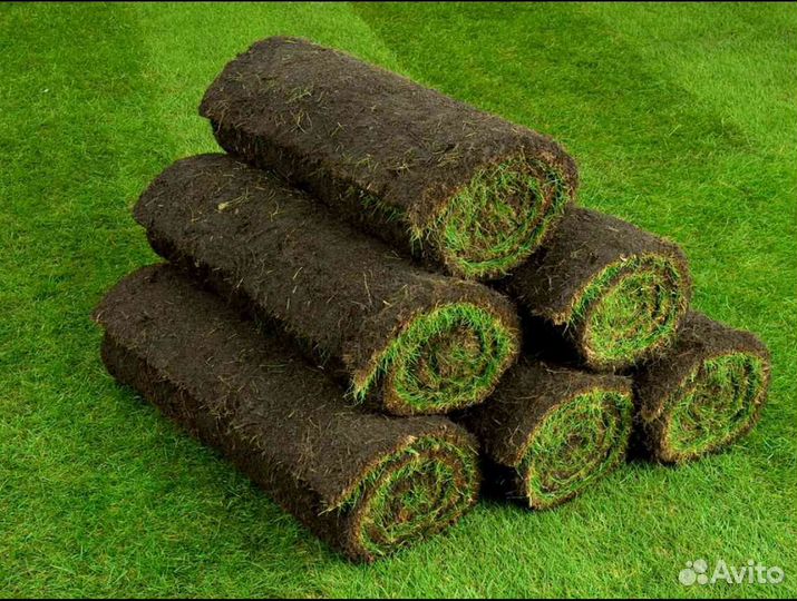 Рулонный газон укладка спортивный