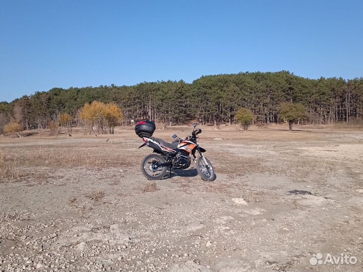 Рейсер Пантера 300