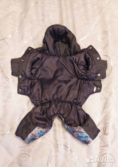 Одежда для собак