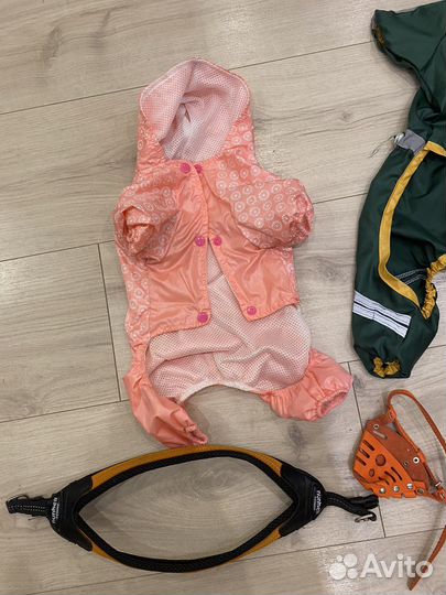 Одежда для маленьких собак бу