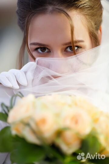 Фотограф Видеосъемка Выпускные Альбомы