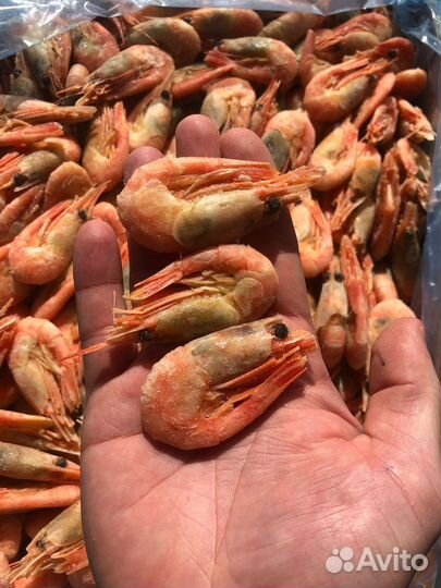 Креветка северная 90 120