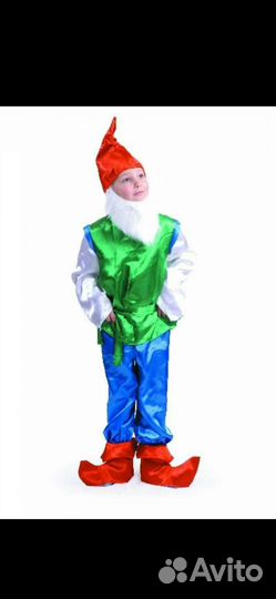 Прокат костюма Гномика