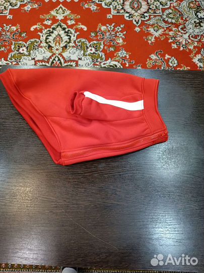 Одежда для собак