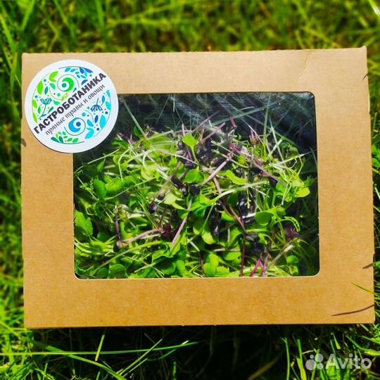 Листовые миксы, микрозелень для частных лиц