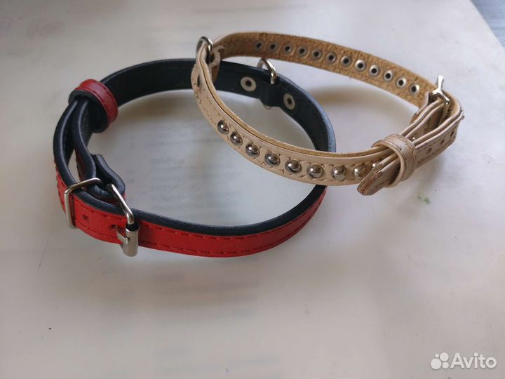 Ошейник для собак