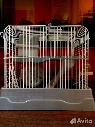 Клетка для грызунов бу