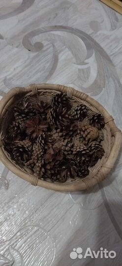 Шишки сосновые