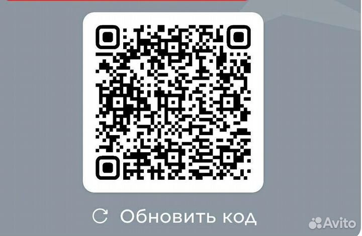 Бонусы спортмастер бесплатно