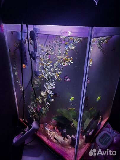 Аквариум 100 литров