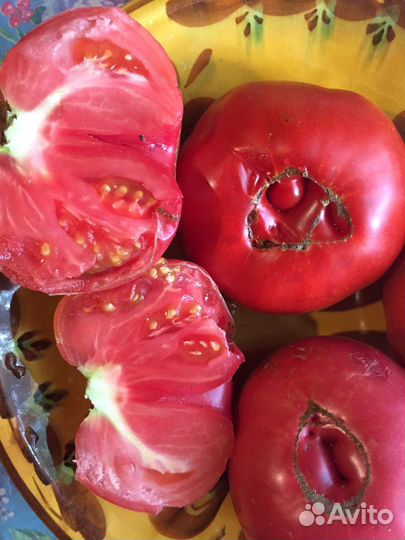 Семена томатов СССР