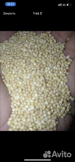 Просо в мешках