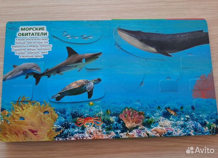 Детская книга с окошками